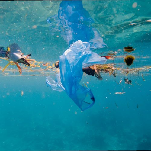 Nature Sustainability papers on ocean plastic.